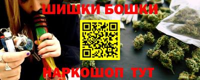 индика Новозыбков