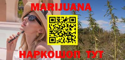 индика Новозыбков