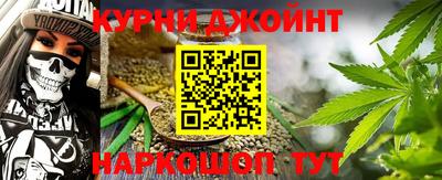 индика Новозыбков
