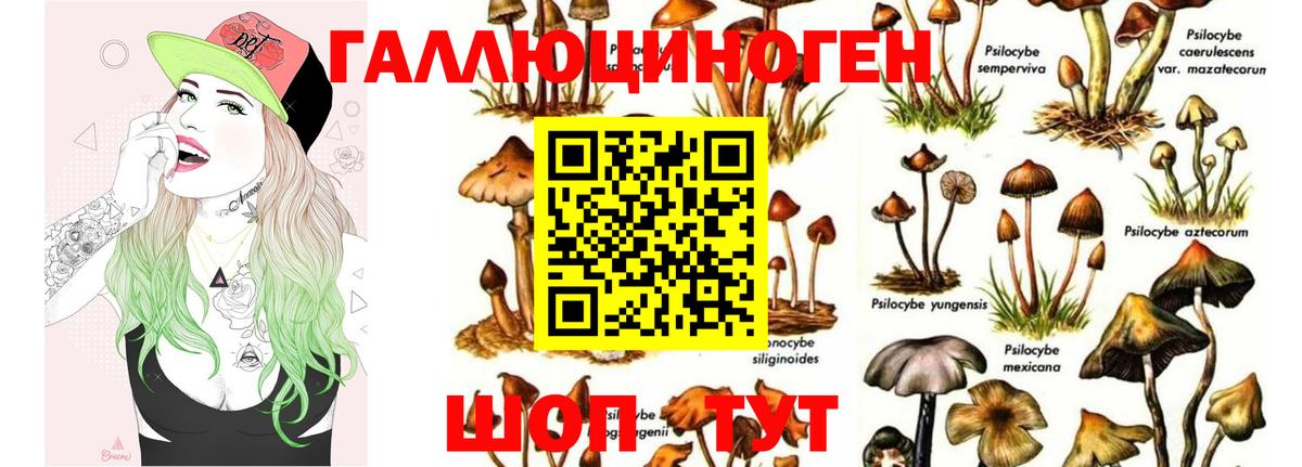 Галлюциногенные грибы GOLDEN TEACHER Сланцы