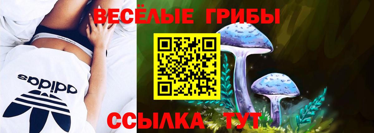 Галлюциногенные грибы ЛСД  Вход с VPN  Сланцы  хочу наркоту  Псилоцибиновые грибы Psilocybe 