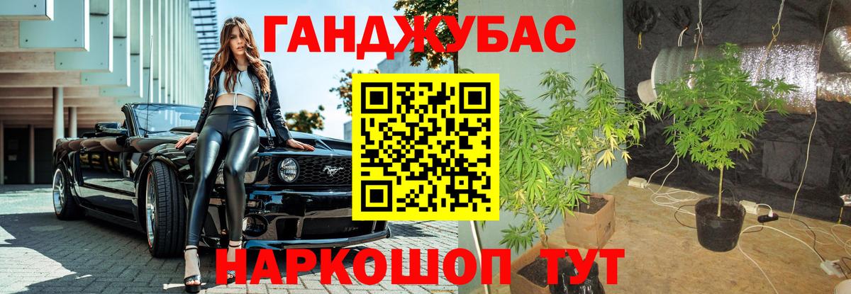 Бошки Шишки план Сланцы