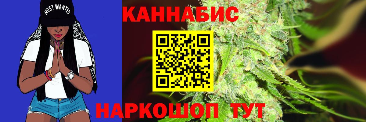 Канабис конопля  Марихуана планчик  Сланцы  Конопля THC 21%  Конопля гибрид  Вход с VPN 